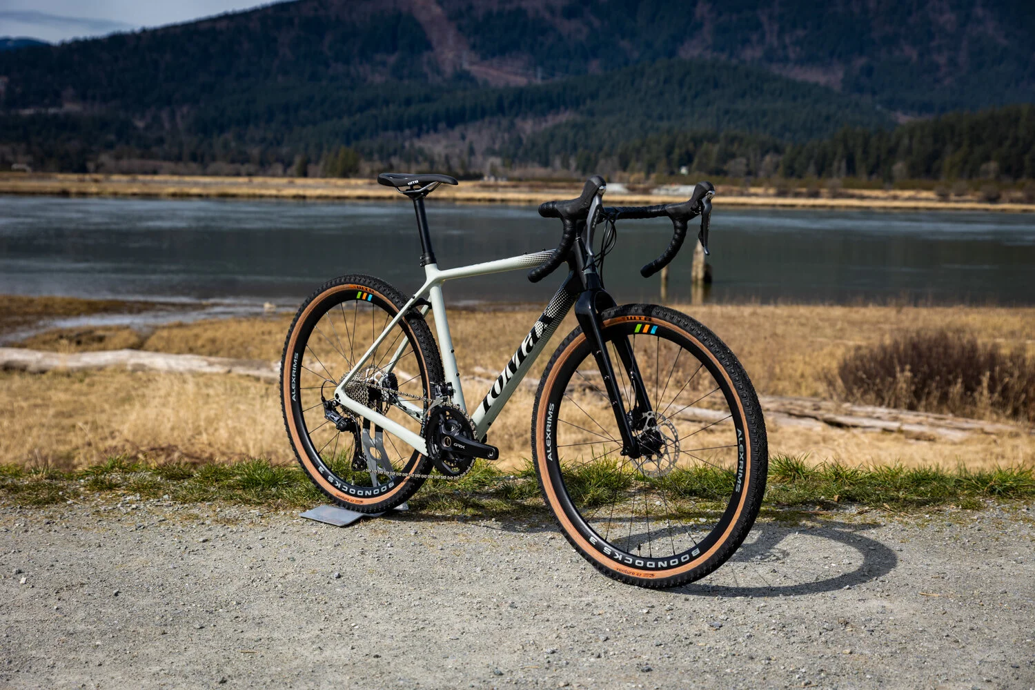 Romax Carbon — Brodie Bicycles